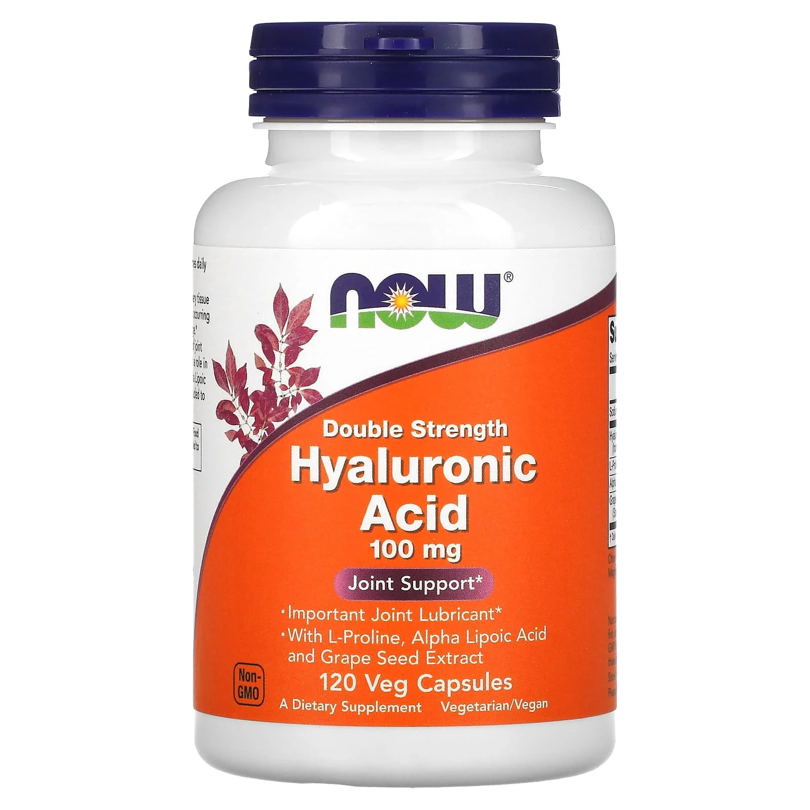 NOW Foods, L-Prolinli Hiyalüronik Asit, Alfa-Lipoik Asit ve Üzüm Çekirdeği Ekstresi, 100 mg, 120 Bitkisel Kapsül